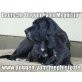 Seit 1979 - Zwinger vom Mephisto, Deutsche Dogge Welpen - Hündin