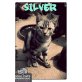 Shadow & Silver  - Kater
