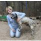 Shalom, English Setter - Rüde