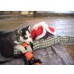 Shanou, Siberian Husky - Hündin
