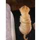 Shar pei  Welpen - Hündin