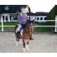 Shetty/Welsh - Stute