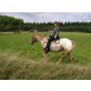 Sheyenne, Appaloosa - Stute
