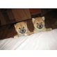 Shiba Inu Welpen - Rüde