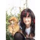 Shih Tzu Welpen - Rüde