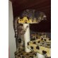 Shika, Bengalkatze - Katze