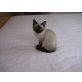 Siamesen - Katze