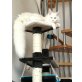 Snowie, Maine Coon - Katze