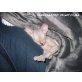 Sparklingspirit Freaky Felida, Don Sphynx - Katze
