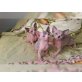Sphynx - Kater