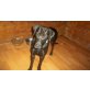 Spike, Dobermnn/Labardor - Rüde