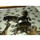 Staffordshire-Bullterrier Welpen - Rüde