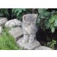 Süsse verspielte Bauernhofkatzenbaby zu versc - Katze