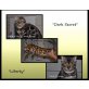 Süsses Bengalpärchen zu vergben, Bengalkatze - Kater
