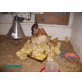 Sulmtaler Huhn - weiblich