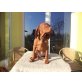 Szesze, Magyar  Vizsla - Rüde