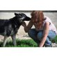 TANZINA bildschöne Schäfermixhündin, Schäferhund-Mix - Hündin
