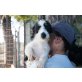 Taiga, Jack Russel/Dackel sucht Sofa! - Hündin