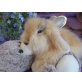 Teddywidder