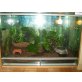 Terrarium 100x50x70