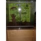 Terrarium 80x50x80