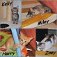 Tierschutz - Kater