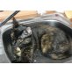 Tiffy, Hauskatze - Katze