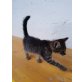 Tiger Babykater - Kater