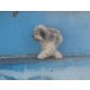 Tricki, Terrier Mix Welpen - Hündin