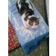 Valentina, Valentina, eine Leben ohne Liebe - Katze