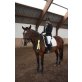 Venus, slowakisches Warmblut - Stute