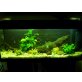 Verkaufe Juwel 240L Aquarium + Zubehör 120