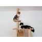 Vino & Lilly - Kater