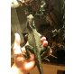 Wasseragame - männlich