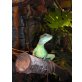 Wasseragame - weiblich