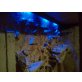 Wasseragame - weiblich