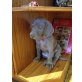 Weimaraner Welpen - Rüde