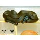 Weisslippenpython