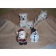 Welpen, West Highland White Terrier Welpen - Rüde