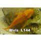 Welse L-144
