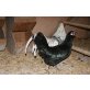Welsumer + Hamburger Huhn - weiblich