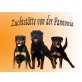 Wurfankündigung, Rottweiler - Rüde