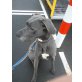 Wutan, Deutsche Dogge - Rüde