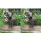 Xoloitzcuintle - Hündin
