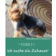 YUKKI, Yorkshire Terrier - Rüde