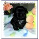 Yacco King, Shih Tzu Welpen - Rüde