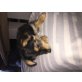 Yorki/Malteser mix  - Hündin