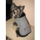 Yorkshire Terrier - Hündin