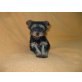 Yorkshire Terrier Welpen - Hündin
