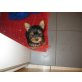Yorkshire Terrier Welpen - Hündin